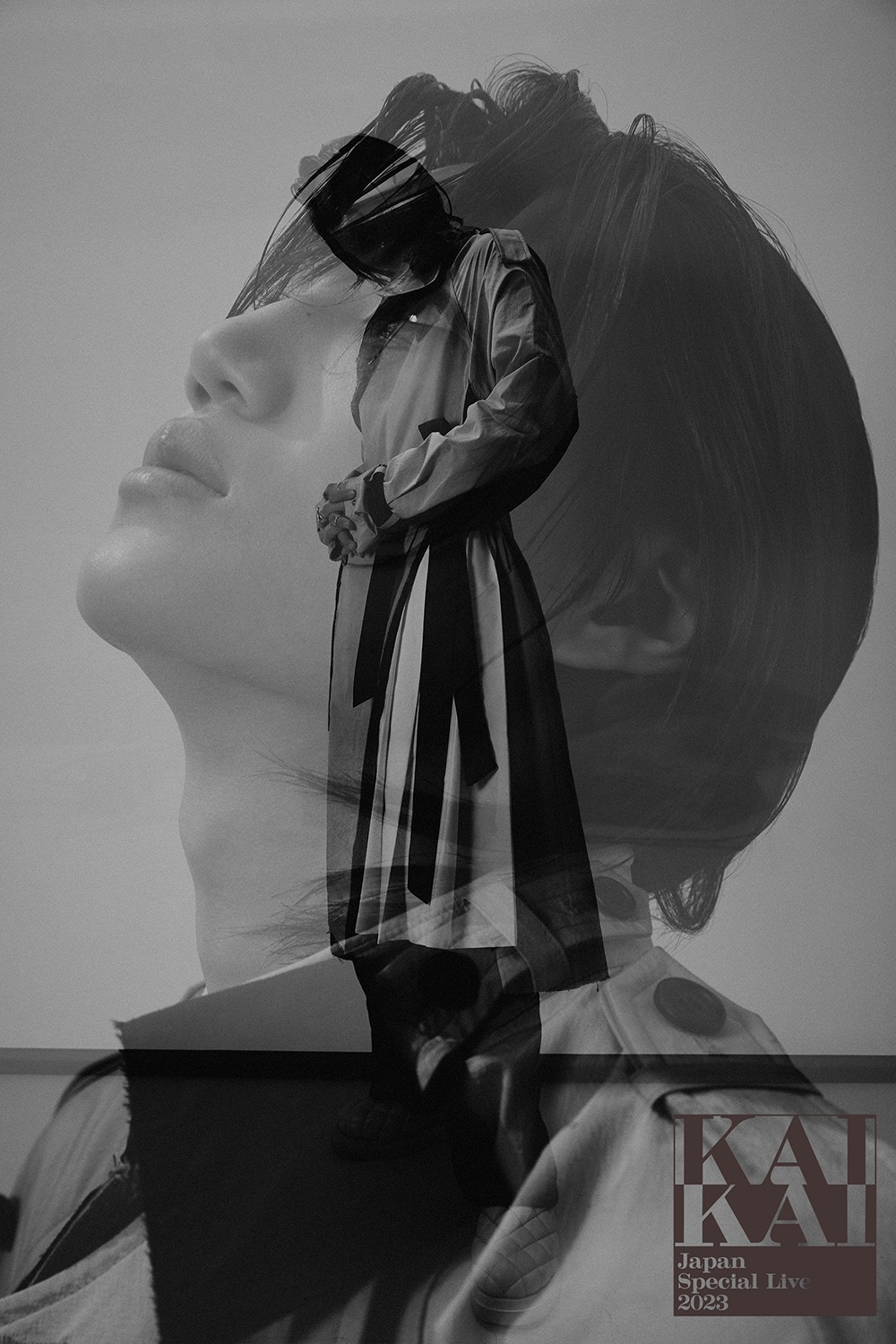 「KAI Japan Special Live 2023」ビジュアル