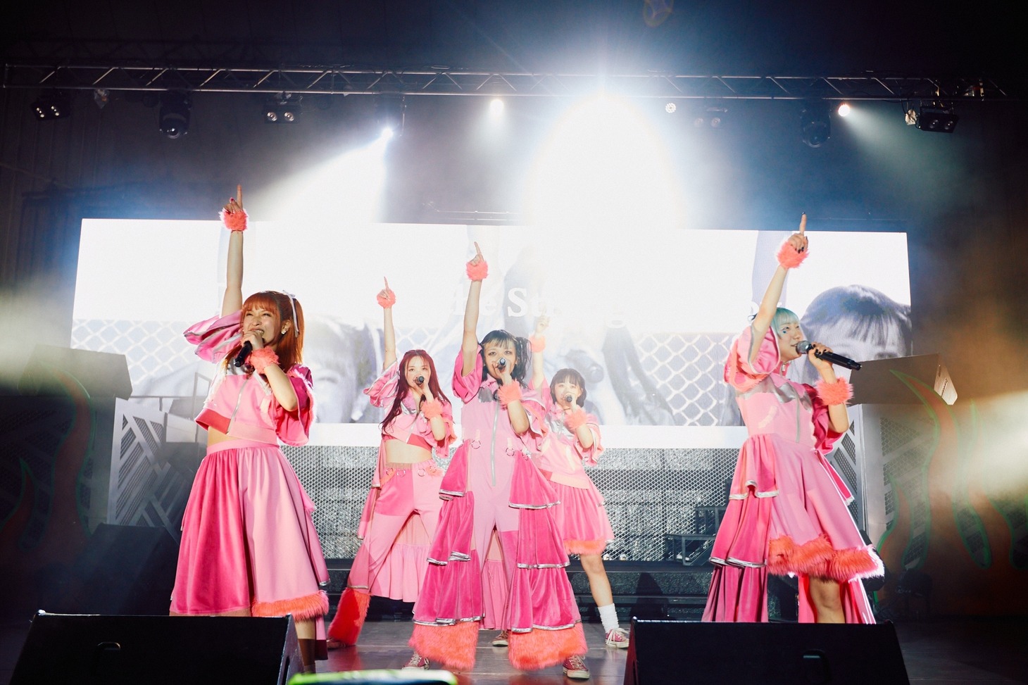 PIGGS（Photo by Shota Ashino）