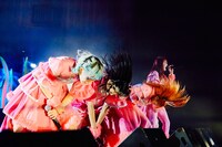 PIGGS（Photo by Shota Ashino）