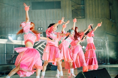 PIGGS(Photo by Shota Ashino)