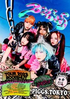 PIGGS「ブシャーッとブーシャウトツアー」フライヤー
