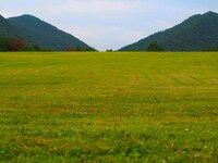 「ARIFUJI WEEKENDERS」で使用される兵庫・有馬富士公園。