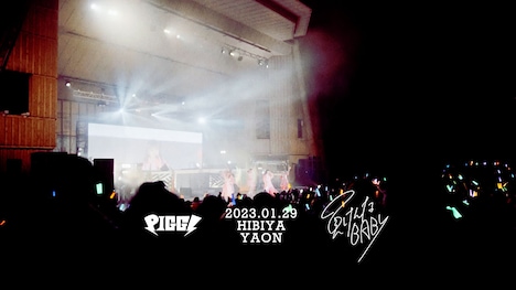 PIGGS「負けんなBABY」ライブ映像より。