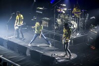 ザ・クロマニヨンズ（撮影：柴田恵理）