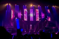 星街すいせい「Shout in Crisis」の様子。