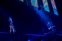 左から星街すいせい、堀江晶太（PENGUIN RESEARCH）。