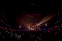 星街すいせい「Shout in Crisis」の様子。