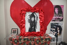 シーナの写真。