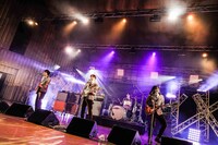 THE BAWDIES（撮影：森好弘）