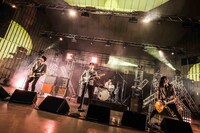 THE BAWDIES（撮影：森好弘）