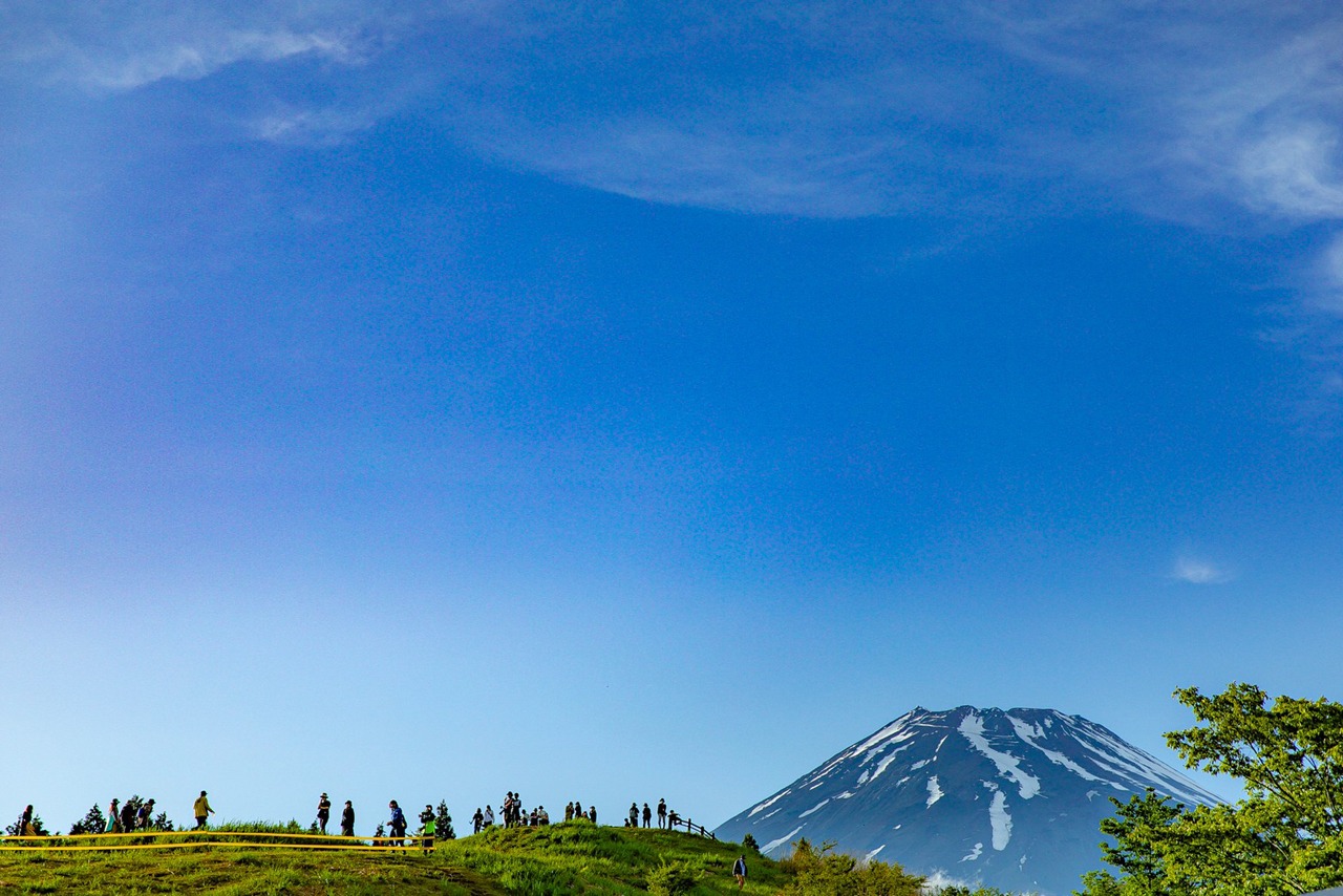 「FUJI & SUN」の様子。