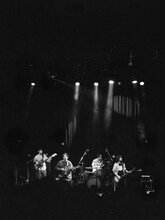 グソクムズ（撮影：小財美香子）