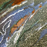 フジファブリック「ミラクルレボリューション No.9」ジャケット