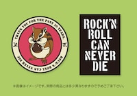 斉藤和義「PINEAPPLE」初回限定盤特典ピンバッジ