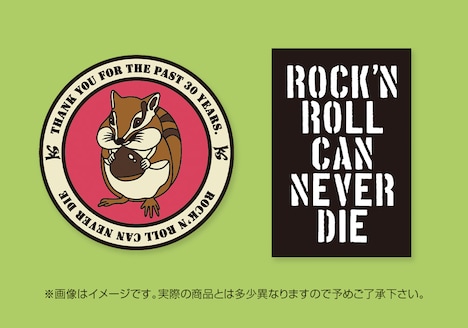 斉藤和義「PINEAPPLE」初回限定盤特典ピンバッジ