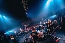 HIKAGE（Photo by Taka"nekoze photo"）