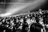 Don Brocoのライブの様子。（Photo by SHOTARO.）