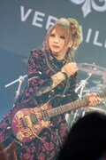 HIZAKI（G）