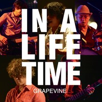 GRAPEVINE「Lifetime Live at SHIBUYA AX 2014.05.19」配信ジャケット