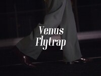 春野「Venus Flytrap feat. 佐藤千亜妃」ミュージックビデオより。