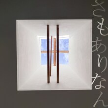 森山直太朗「さもありなん」配信ジャケット