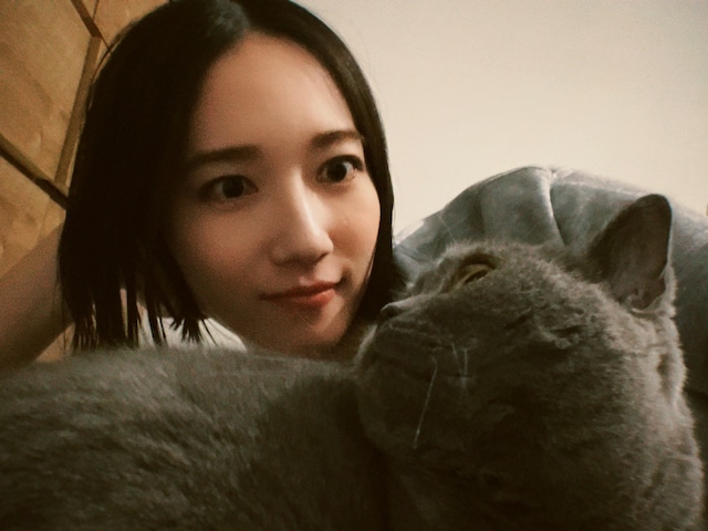 正月在宅満喫恵方は南南東爆食のっち