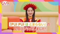 「PUI PUI はとまらない」配信決定コメント動画より。