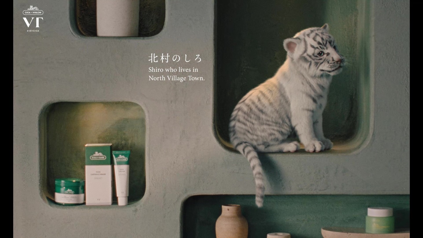 VT COSMETICSのCM「Village Town 北村の匠海」より。
