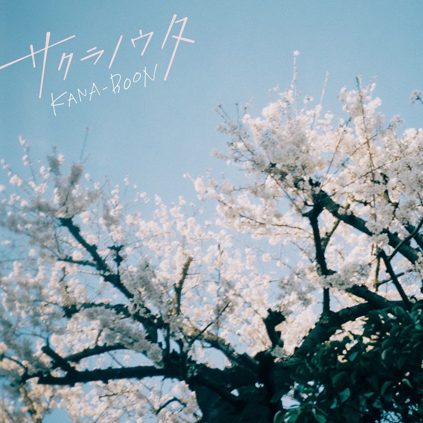 KANA-BOON「サクラノウタ」配信ジャケット