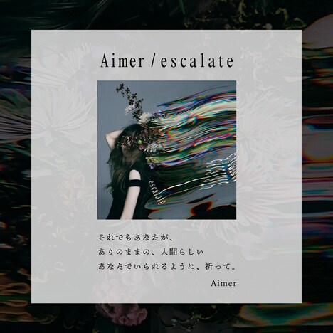 Aimerコメント