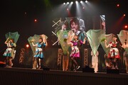 「TEAM SHACHI SHACHI CARNIVAL ～仮面を外してワックワク!?はちゃめちゃ祭典～」の様子。