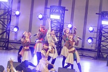 豆柴の大群（Photo by sotobayashi kenta）