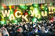 ASP（Photo by sotobayashi kenta）