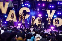 ASP（Photo by sotobayashi kenta）