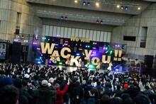 豆柴の大群（Photo by sotobayashi kenta）