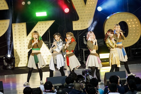 豆柴の大群（Photo by sotobayashi kenta）