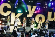 豆柴の大群（Photo by sotobayashi kenta）