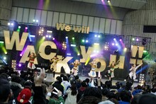 豆柴の大群（Photo by sotobayashi kenta）