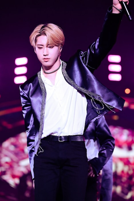 ハン（撮影：MASA / 田中聖太郎写真事務所）