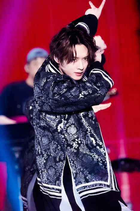 リノ（撮影：河村美貴 / 田中聖太郎写真事務所）