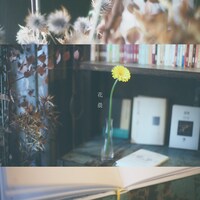 ユナイト「花晨」ジャケット