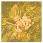 SPRINGMAN、全編トイレで新曲MV撮影