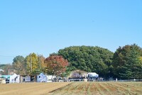 「麦ノ秋音楽祭」会場イメージ