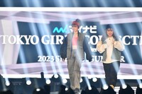 平成フラミンゴ