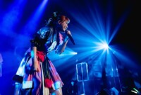 プー・ルイ（PIGGS）