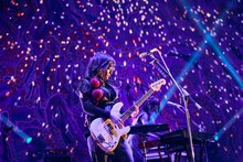 やしちゃん（B）（撮影：中野修也）