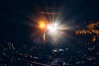 女王蜂単独公演「バイオレンス」の様子。（撮影：中野修也）