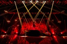 女王蜂（撮影：森好弘）