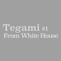 ZION「Tegami#1 From White House」ジャケット