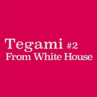 ZION「Tegami#2 From White House」ジャケット
